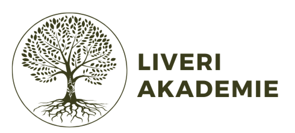 LiVeri Akademie Logo